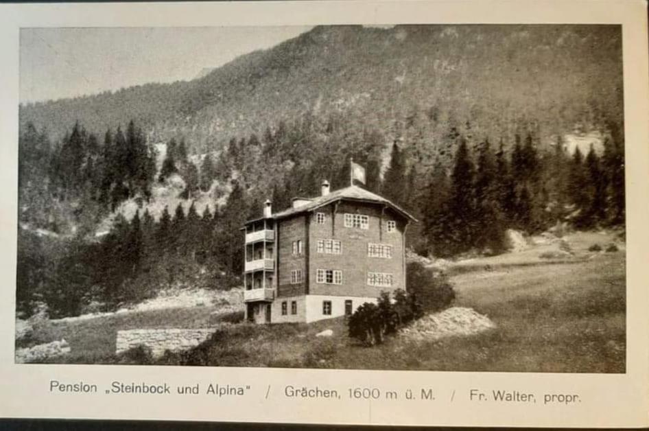 Hotel Alpina Grächen Exterior foto